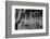 USA, Arizona, Tucson, Saguaro National Park-Peter Hawkins-Framed Photographic Print