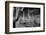 USA, Arizona, Tucson, Saguaro National Park-Peter Hawkins-Framed Photographic Print