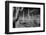 USA, Arizona, Tucson, Saguaro National Park-Peter Hawkins-Framed Photographic Print