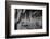 USA, Arizona, Tucson, Saguaro National Park-Peter Hawkins-Framed Photographic Print