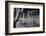 USA, Arizona, Tucson, Saguaro National Park-Peter Hawkins-Framed Photographic Print