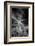 USA, Arizona, Tucson, Saguaro National Park-Peter Hawkins-Framed Photographic Print