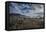 USA, Arizona, Tucson, Tucson Mountain Park-Peter Hawkins-Framed Premier Image Canvas