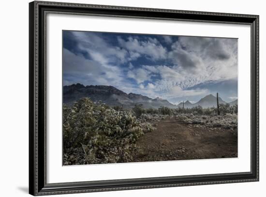 USA, Arizona, Tucson, Tucson Mountain Park-Peter Hawkins-Framed Photographic Print