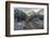 USA, Arizona, Tucson, Tucson Mountain Park-Peter Hawkins-Framed Photographic Print