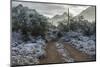 USA, Arizona, Tucson, Tucson Mountain Park-Peter Hawkins-Mounted Photographic Print