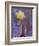 Usa, Arizona, Tucson. Yellow flower on purple Prickly Pear Cactus.-Merrill Images-Framed Premium Photographic Print