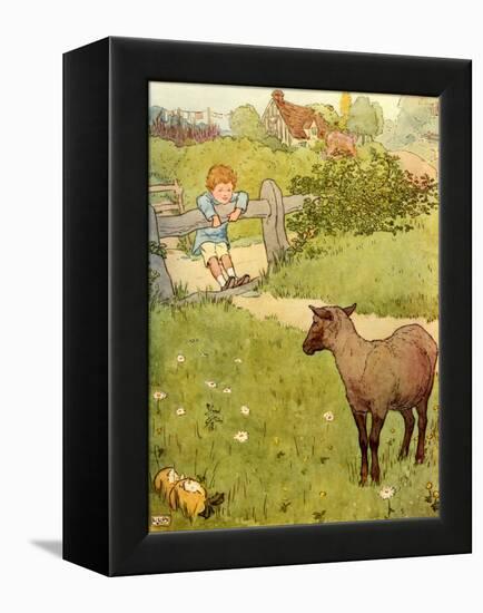 USA Baa Baa Black Sheep Book Plate-null-Framed Premier Image Canvas