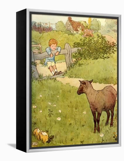 USA Baa Baa Black Sheep Book Plate-null-Framed Premier Image Canvas