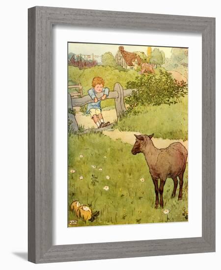 USA Baa Baa Black Sheep Book Plate-null-Framed Giclee Print