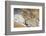 USA, Bingham Canyon Mine, the Biggest Copper Mine of the World-Catharina Lux-Framed Photographic Print