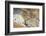 USA, Bingham Canyon Mine, the Biggest Copper Mine of the World-Catharina Lux-Framed Photographic Print