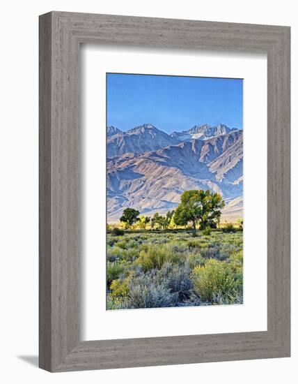 USA, Bishop, California. Eastern Sierra Region, Owens Valley-Joe Restuccia III-Framed Photographic Print