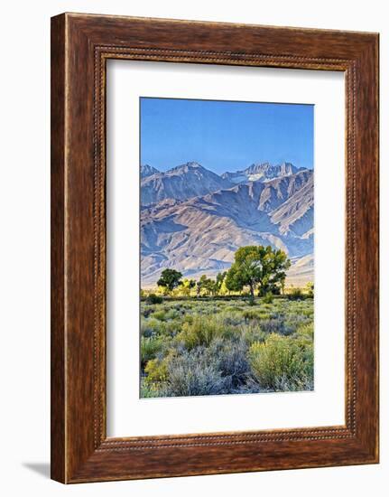 USA, Bishop, California. Eastern Sierra Region, Owens Valley-Joe Restuccia III-Framed Photographic Print