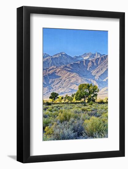 USA, Bishop, California. Eastern Sierra Region, Owens Valley-Joe Restuccia III-Framed Photographic Print