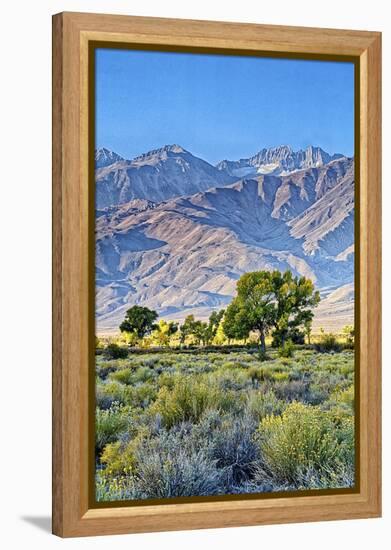 USA, Bishop, California. Eastern Sierra Region, Owens Valley-Joe Restuccia III-Framed Premier Image Canvas