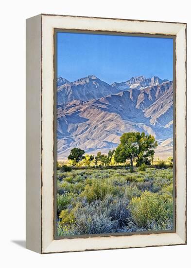 USA, Bishop, California. Eastern Sierra Region, Owens Valley-Joe Restuccia III-Framed Premier Image Canvas