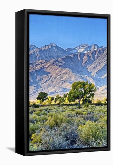 USA, Bishop, California. Eastern Sierra Region, Owens Valley-Joe Restuccia III-Framed Premier Image Canvas