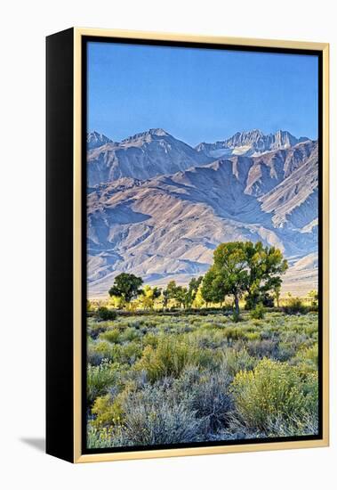 USA, Bishop, California. Eastern Sierra Region, Owens Valley-Joe Restuccia III-Framed Premier Image Canvas