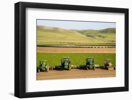 USA, California. Agricultural fields outside King City-Alison Jones-Framed Photographic Print