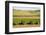 USA, California. Agricultural fields outside King City-Alison Jones-Framed Photographic Print