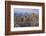 USA, California, Alabama Hills. View of Mount Whitney-Don Paulson-Framed Photographic Print