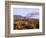 USA, California, Anza-Borrego Desert State Park. Agave Wildflowers-Jaynes Gallery-Framed Photographic Print