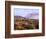 USA, California, Anza-Borrego Desert State Park. Agave Wildflowers-Jaynes Gallery-Framed Photographic Print