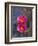 USA, California, Anza Borrego Desert State Park, Beavertail Cactus in Spring Bloom-John Barger-Framed Photographic Print