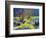 USA, California, Anza-Borrego Desert State Park. Blooming Ocotillo-Jaynes Gallery-Framed Photographic Print