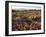 USA, California, Anza Borrego Desert State Park, Desert Wildflowers-Christopher Talbot Frank-Framed Photographic Print