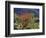 USA, California, Anza-Borrego Desert State Park. Ocotillo Wildflowers-Jaynes Gallery-Framed Photographic Print