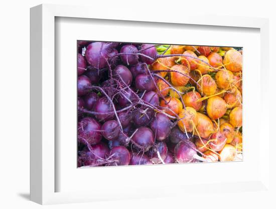 USA, California Baywood, Los Osos Farmers Market-Trish Drury-Framed Photographic Print