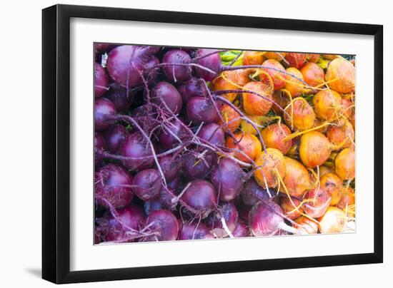 USA, California Baywood, Los Osos Farmers Market-Trish Drury-Framed Photographic Print