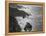 USA, California, Big Sur Coast-John Ford-Framed Premier Image Canvas