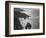 USA, California, Big Sur Coast-John Ford-Framed Photographic Print