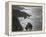 USA, California, Big Sur Coast-John Ford-Framed Premier Image Canvas