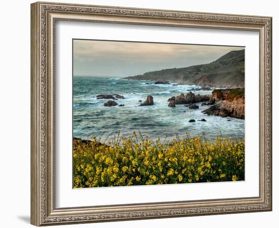 USA, California, Big Sur. Dusk and mustard plants at Soberanes Cove-Ann Collins-Framed Photographic Print