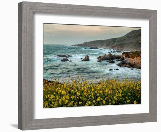 USA, California, Big Sur. Dusk and mustard plants at Soberanes Cove-Ann Collins-Framed Photographic Print