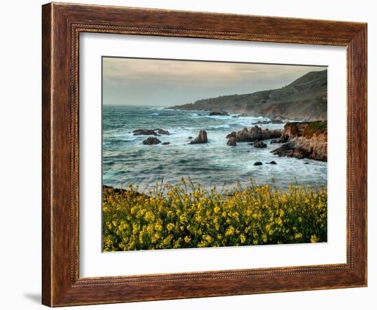 USA, California, Big Sur. Dusk and mustard plants at Soberanes Cove-Ann Collins-Framed Photographic Print