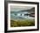 USA, California, Big Sur. Dusk and mustard plants at Soberanes Cove-Ann Collins-Framed Photographic Print