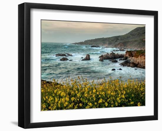 USA, California, Big Sur. Dusk and mustard plants at Soberanes Cove-Ann Collins-Framed Photographic Print