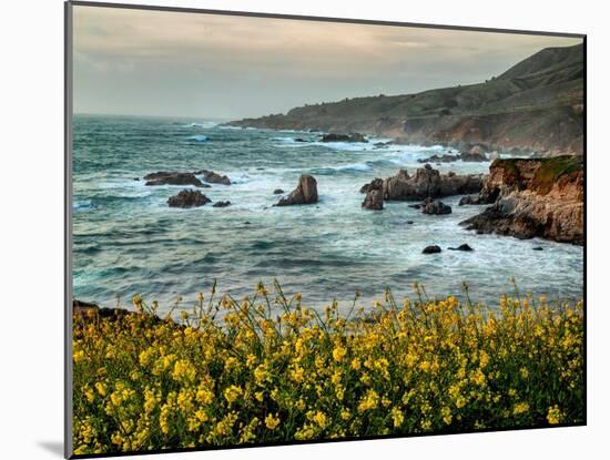 USA, California, Big Sur. Dusk and mustard plants at Soberanes Cove-Ann Collins-Mounted Photographic Print