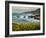 USA, California, Big Sur. Dusk and mustard plants at Soberanes Cove-Ann Collins-Framed Photographic Print