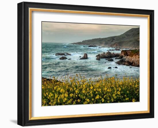 USA, California, Big Sur. Dusk and mustard plants at Soberanes Cove-Ann Collins-Framed Photographic Print