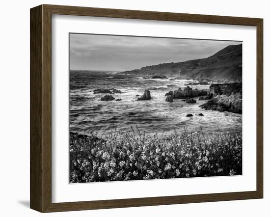 USA, California, Big Sur. Dusk and mustard plants at Soberanes Cove-Ann Collins-Framed Photographic Print