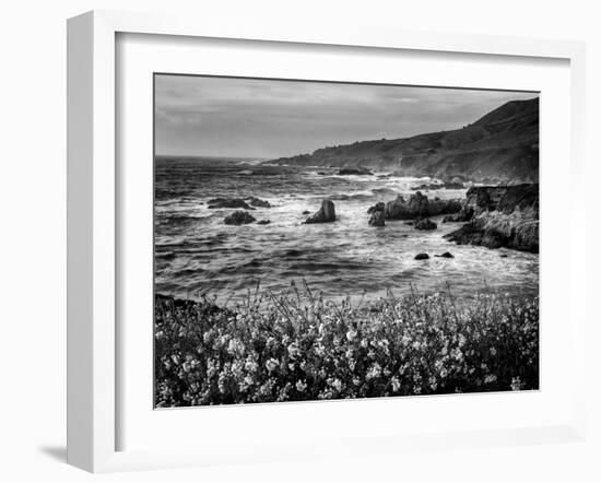 USA, California, Big Sur. Dusk and mustard plants at Soberanes Cove-Ann Collins-Framed Photographic Print