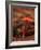 USA, California, Big Sur. Red Mushroom at Pfeiffer Big Sur State Park-Ann Collins-Framed Photographic Print