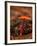 USA, California, Big Sur. Red Mushroom at Pfeiffer Big Sur State Park-Ann Collins-Framed Photographic Print