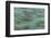 USA, California, Big Sur. Strands of ocean kelp forest.-Jaynes Gallery-Framed Photographic Print